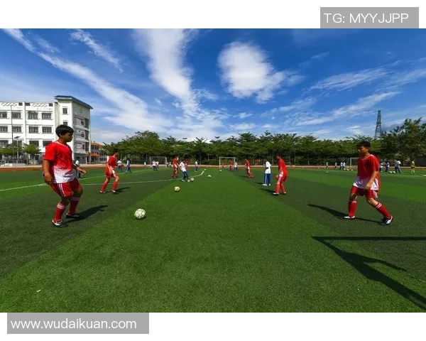 足球奉贤：探索本地足球文化与青少年发展新机遇